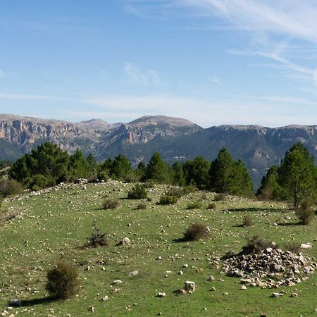 Casa Rural Mirador Del Rio Tus, En Йесте Екстериор снимка