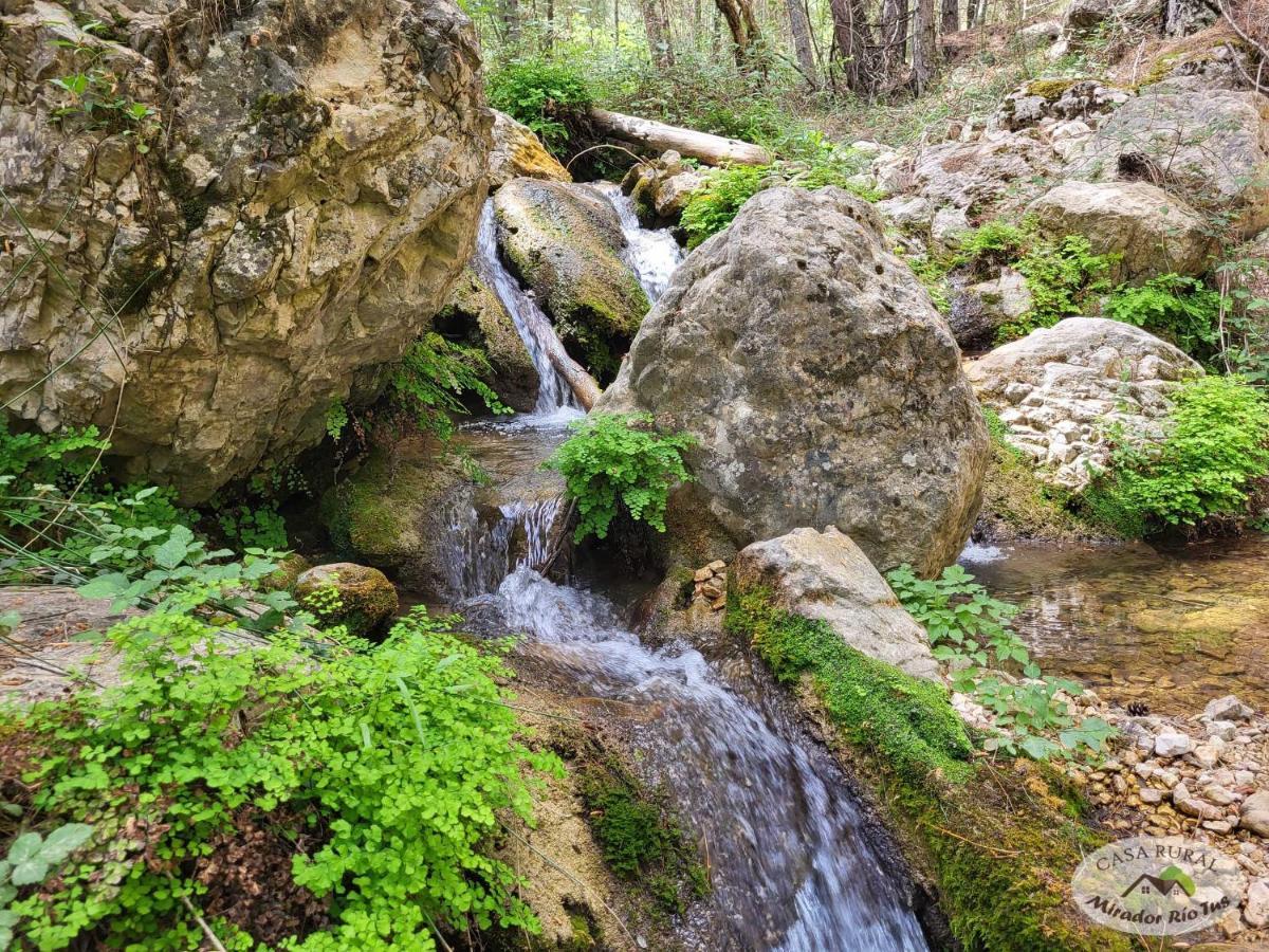 Casa Rural Mirador Del Rio Tus, En Йесте Екстериор снимка