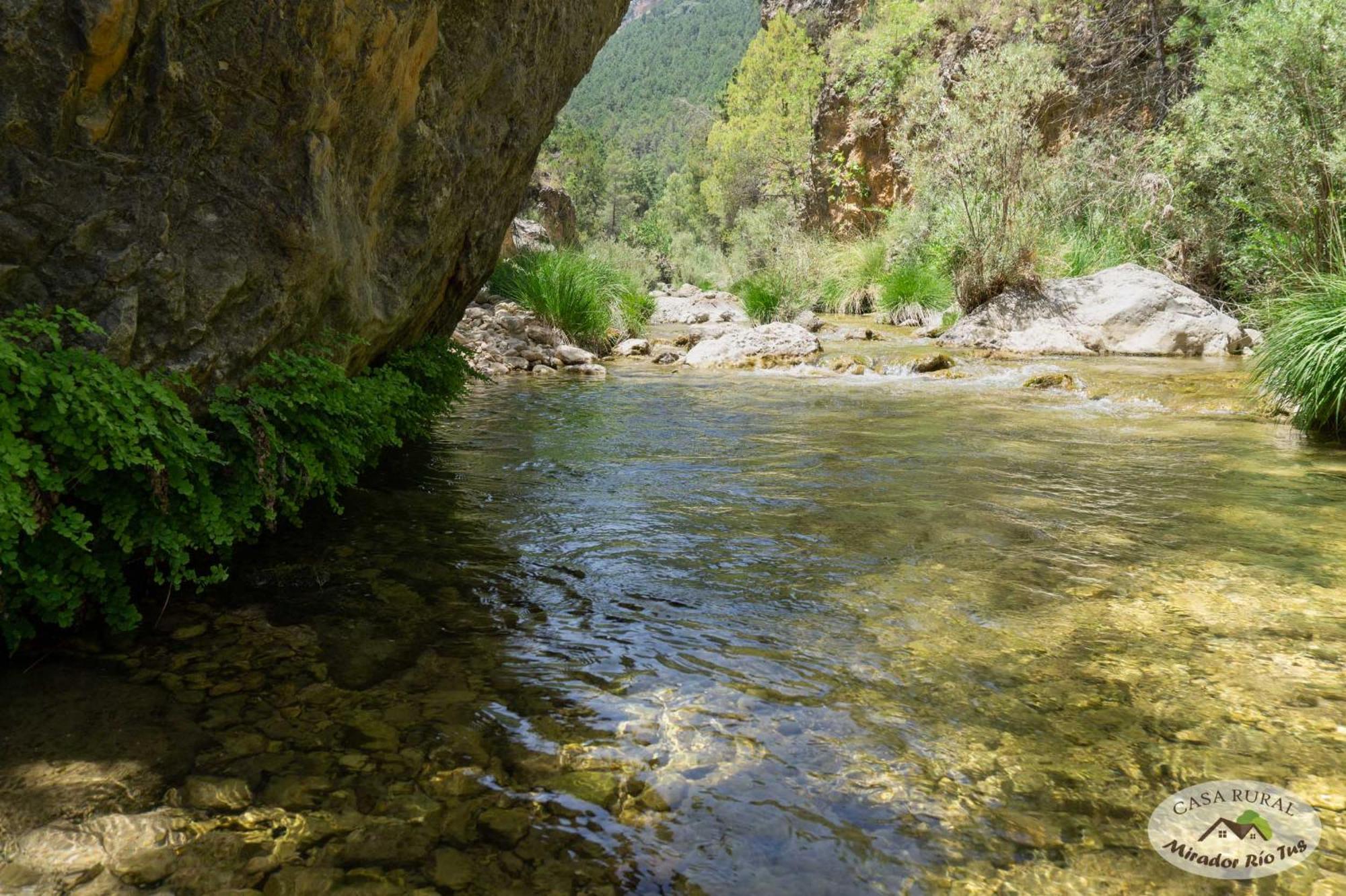 Casa Rural Mirador Del Rio Tus, En Йесте Екстериор снимка